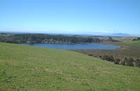 Image of Lake Tomarata